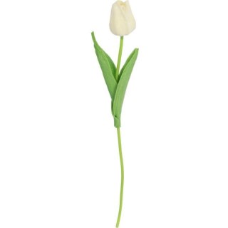 TULIPAN GUMOWANY POJEDYNKA KOLOR BIAŁY