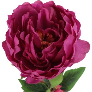PIWONIA 68cm KOLOR RÓŻOWY