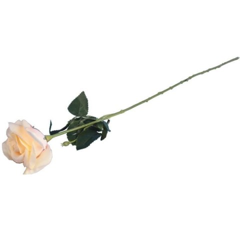 RÓŻA 62 cm KOLOR KREMOWY