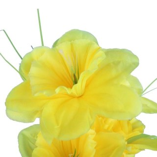 ŻONKILE BUKIET 7 KWIATÓW 36 CM