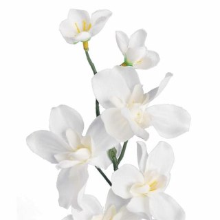 STORCZYK GAŁĄZKA KOLOR BIAŁY 66 CM