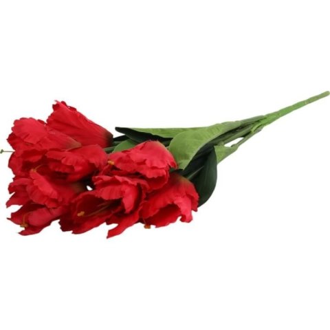 Bukiet 7 TULIPANÓW PAPUZICH 54 cm CZERWONY