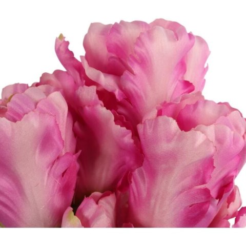 Bukiet 7 TULIPANÓW PAPUZICH 54 cm RÓŻOWY