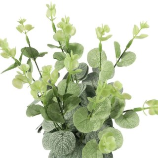Bukiet liści EUCALYPTUSA w kolorze CIEMNO ZIELONYM 50 cm