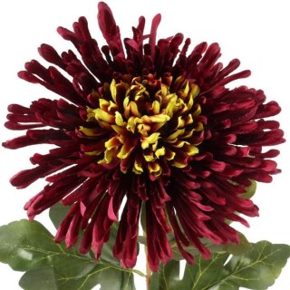 CHRYZANTEMA 76 CM BORDOWA