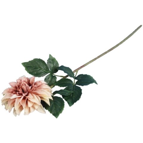 Dalia DUŻY kwiat pojedynczy BRĄZOWA 74 cm