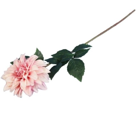 Dalia DUŻY kwiat pojedynczy ŁOSOSIOWY 74 cm