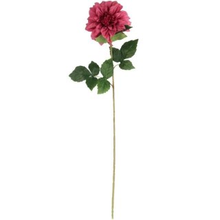 Daliia DUŻY kwiat pojedynczy RÓŻOWA 74 cm