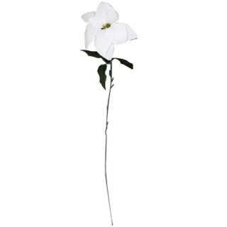 Kwiat pojedynczy Gwiazda Betlejemska Poinsecja 64 cm BIAŁA