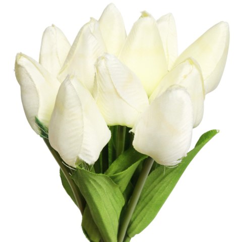 Bukiet 12 TULIPANÓW W PĘCZKU Z RAFIĄ 32 cm biały