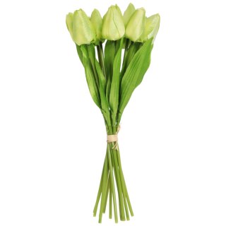Bukiet 12 TULIPANÓW W PĘCZKU Z RAFIĄ 32 cm zielony