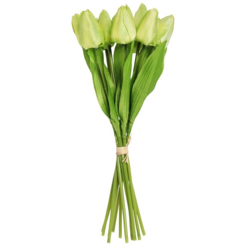 Bukiet 12 TULIPANÓW W PĘCZKU Z RAFIĄ 32 cm zielony