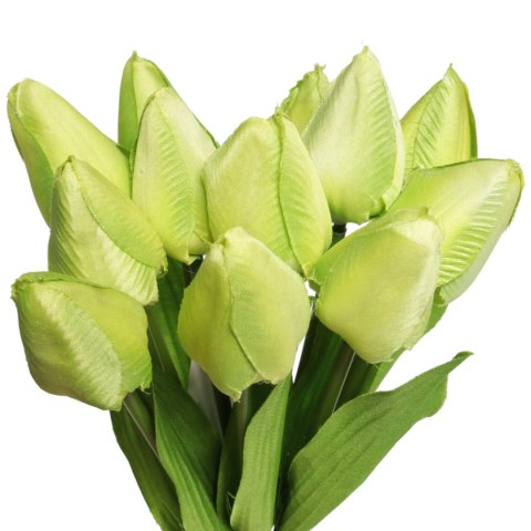 Bukiet 12 TULIPANÓW W PĘCZKU Z RAFIĄ 32 cm zielony