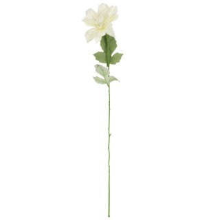 Dalia kwiat pojedynczy biały 70 cm