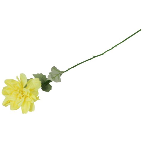 Dalia kwiat pojedynczy żółty 70 cm