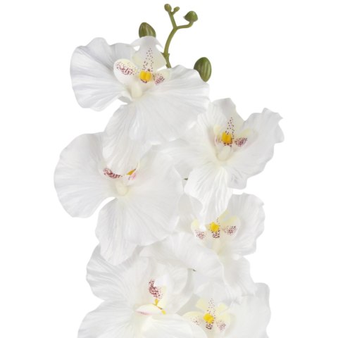 STORCZYK ORCHIDEA GAŁĄZKA 9 KWIATÓW 105 CM GŁĘBOKA CZERWIEŃ