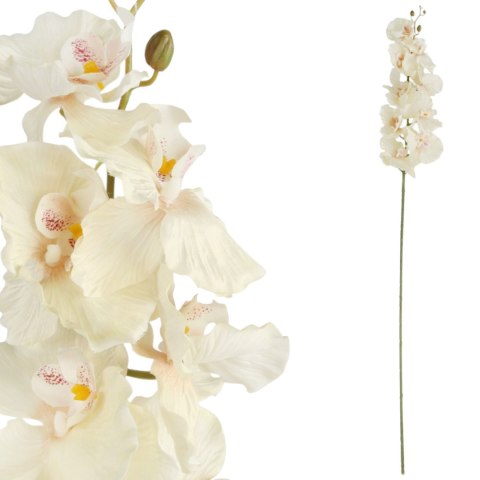 STORCZYK ORCHIDEA GAŁĄZKA 9 KWIATÓW 105 CM KREMOWA
