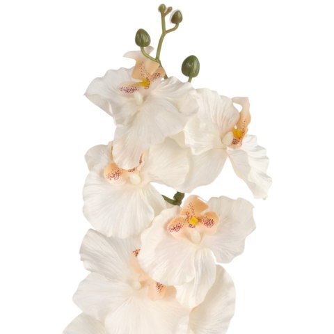 STORCZYK ORCHIDEA GAŁĄZKA 9 KWIATÓW 105 CM KREMOWO-RÓŻOWA