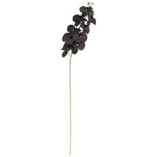 STORCZYK sztuczne kwiaty do wazonu GAŁĄZKA ORCHIDEA brązowa 100 cm