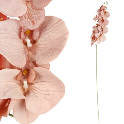 STORCZYK sztuczne kwiaty do wazonu GAŁĄZKA ORCHIDEA jasno brązowa 100 cm