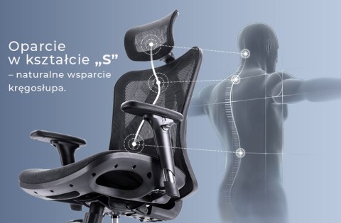 FOTEL BIUROWY ERGONOVA, CZARNY, ERGONOMICZNY, DO BIURA, SIATKA, WYGODNY