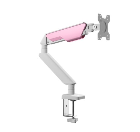 RAMIĘ UCHWYT DO MONITORA VELOCITY ANGEL AN1, BIAŁY, 17-32", VESA, DO 9KG