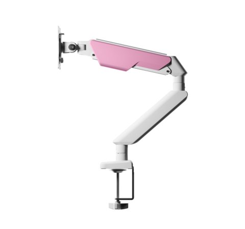 RAMIĘ UCHWYT DO MONITORA VELOCITY ANGEL AN1, BIAŁY, 17-32", VESA, DO 9KG