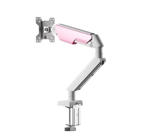 RAMIĘ UCHWYT DO MONITORA VELOCITY ANGEL AN1, BIAŁY, 17-32", VESA, DO 9KG