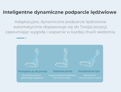 FOTEL BIUROWY ERGONOMICZNY ERGOFLEX, CZARNY, WYGODNY, DO SALONU, STYL, Z 3D
