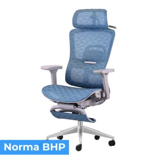 FOTEL BIUROWY ERGONOMICA, SZARY, Z PODNÓŻKIEM, WYGODNY, SIATKOWY, DO BIURA