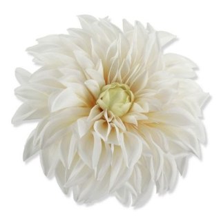 Dalia biało-kremowa 14cm główka wyrobowa