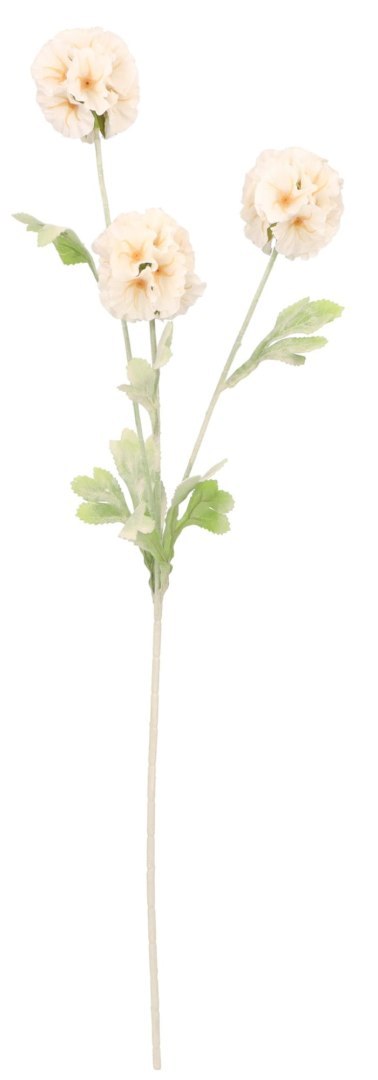 Drakiew gałązka 70cm