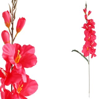 MIECZYK CIEMNO-RÓŻOWY GLADIOLA 76 CM