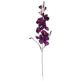 MIECZYK FIOLETOWY ZIELONY GLADIOLA 76 CM