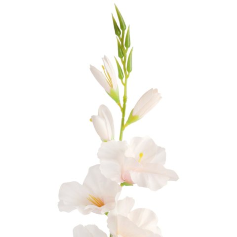MIECZYK kwiat sztuczny do wazonu GLADIOLA 76 cm kremowa