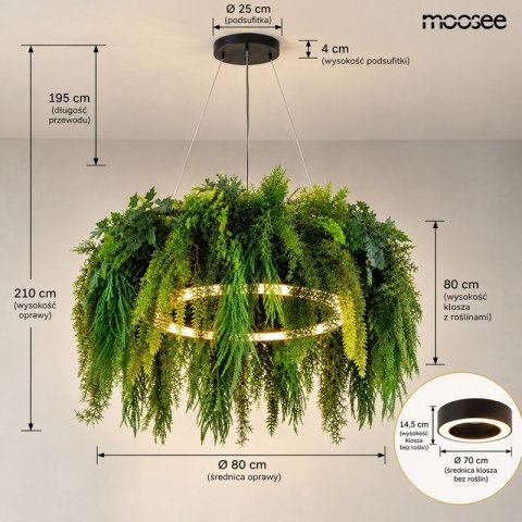 LAMPA WISZĄCA VERIDIA CZARNA, ROŚLINY, RING LED, PILOT, ŚCIEMNIACZ, MOOSEE