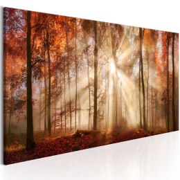 Obraz 150 x 50 cm - Jesienny świt