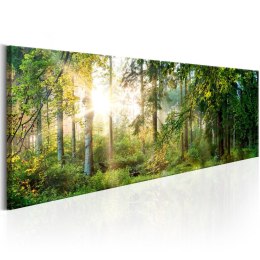 Obraz 150 x 50 cm - Leśne schronienie