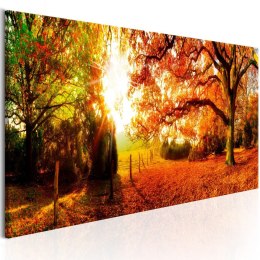 Obraz 150 x 50 cm - Magia jesieni