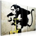 Obraz - Monkey TNT - Banksy