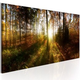 Obraz 150 x 50 cm - Piękny las