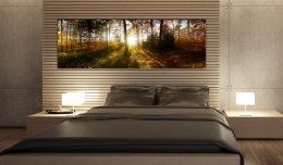 Obraz 150 x 50 cm - Piękny las