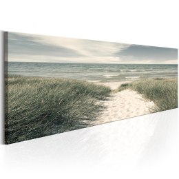 Obraz 150 x 50 cm - Tajemnice morza