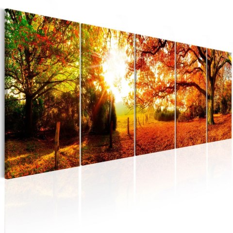 Obraz 225 x 90 cm - Zachwycająca jesień