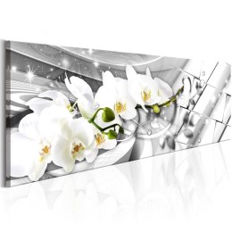 Obraz 150 x 50 cm - Zakręcone orchidee