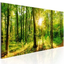 Obraz 150 x 50 cm - Zielona magia