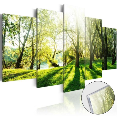 Obraz na szkle akrylowym - Zielona polana 