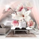 Fototapeta - Białe magnolie 3D, róż