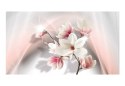 Fototapeta - Białe magnolie 3D, róż
