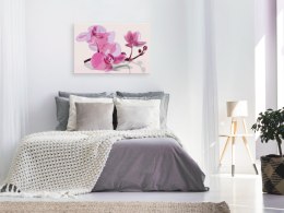 Obraz do samodzielnego malowania - Kwiaty orchidei